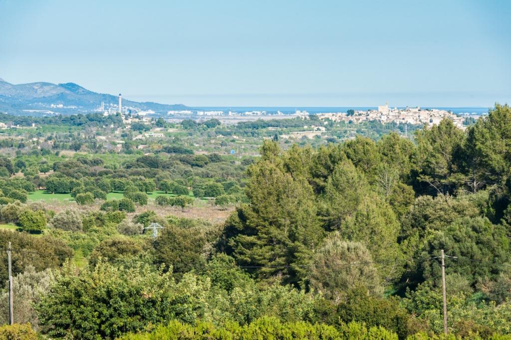 Sa Vinyota De Can Piti Βίλα Σέλβα Εξωτερικό φωτογραφία